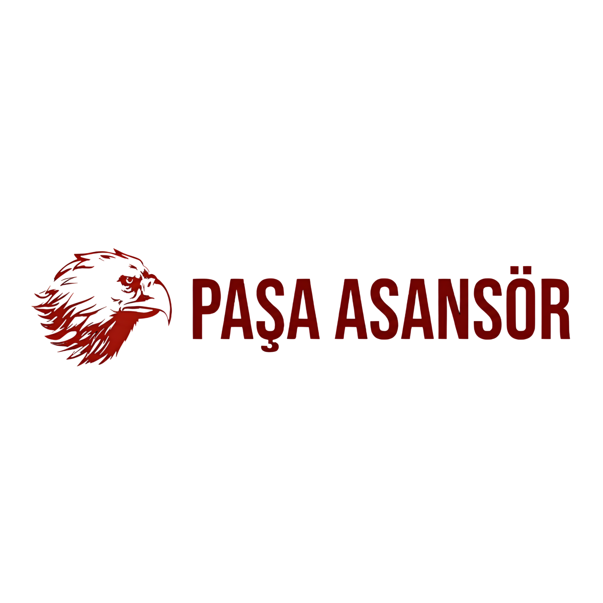 Pasa Asansor
